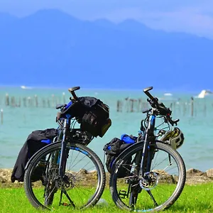 Bed & Breakfast Bb Il Grande Salice Bike Friends