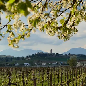 Mi.lu Appartamento Susegana
